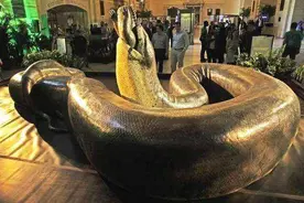 活人如果被蟒蛇吞进肚子里，有没有可能用匕首自救？图片