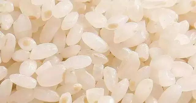 涓€娆惧彿绉?鈥滀笂甯濆垱閫犵殑鐗欒啅鈥?姊呭ゥ鍖婚櫌閮芥槸鎸囧畾瀹?缃戝弸锛氫竾鑳? onerror=