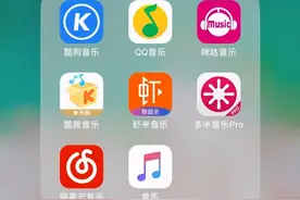央媒痛批QQ音乐、网易云音乐、酷狗音乐：故意诱导粉丝消费图片