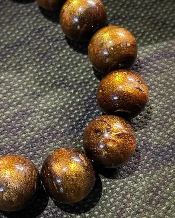 作假“金丝柳”的特征详谈