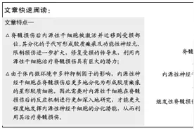 脊髓损伤后室管膜区内源性神经干细胞反应的系列问题图片