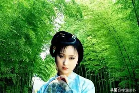 他是一个大傻子，死皮赖脸两次讨好林黛玉后，被林黛玉认作了哥哥图片