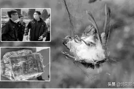 沈阳停止一切鸟类交易！万柳塘、劳动公园非法鸟市已取缔，合法鸟市能恢复吗？图片