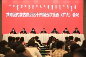 共青团内蒙古自治区十四届五次全委（扩大）会议在呼和浩特市召开图片
