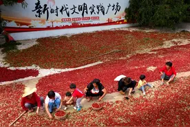 枣庄唯一！阴平镇入选2021年国家级农业产业强镇创建名单图片