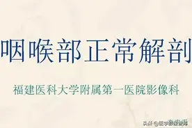 咽喉部解剖最全图解，值得收藏图片