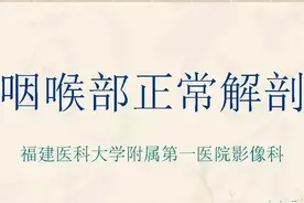 咽喉部解剖最全图解，值得收藏图片