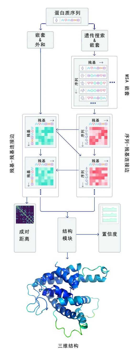 生物学的一个基本大问题迎来重大突破