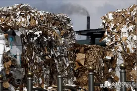 纸业女王张茵的策略：玖龙纸业全面布局东南亚市场图片