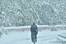 公路车骑行进藏12天行程表及行者路书图片