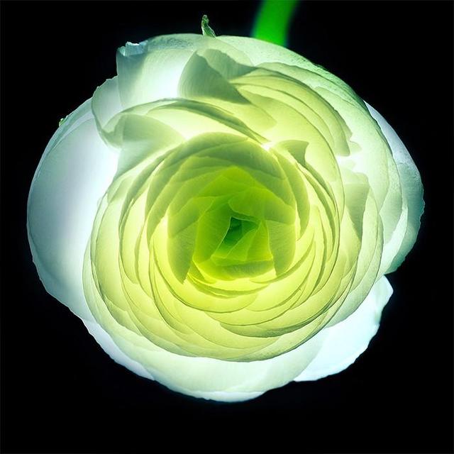 Ӱһڿ