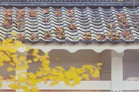 《庄子》：人生无善无恶，一切本为自然图片