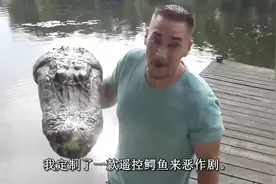 遥控鳄鱼头玩具恶作剧，把水里的人吓惨了视频封面