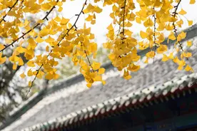儒家的婚姻观需要与时俱进图片