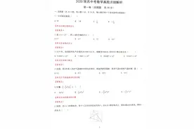 分享2020年陕西中考数学试题及其解析图片