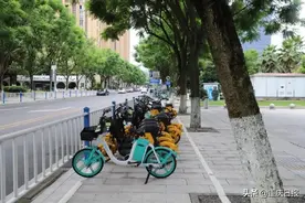 共享电单车全行业每年可减碳163.6万吨 看看重庆人用车贡献了多少图片