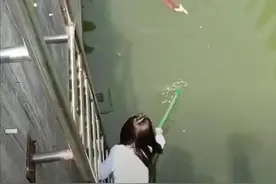女子看见湖里有一只落水猫，好心想搭救，伸出棍子后满脸问号图片