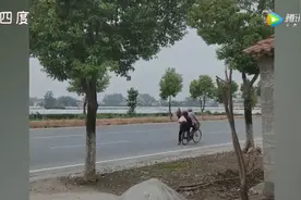 71岁妹妹骑车带76岁姐姐回家图片