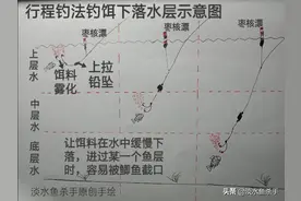 它是春钓鲫鱼的“必杀技”，高效又实用。详解截口利器：行程钓法图片