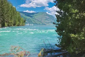 新疆旅游 阿尔泰 喀纳斯下篇 徒步从神仙湾到月亮湾 最后游览卧龙湾图片