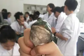 医学生戴“假屁股”练扎针，“神操作”让人啼笑皆非，人间绝绝子图片