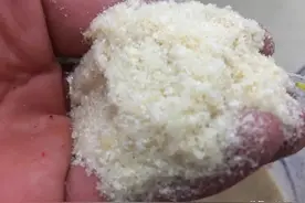 这个饵料野钓很少用，其实功能很强大，浅谈轻麸的实际作用图片