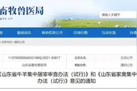 山东发布《山东省家禽集中屠宰审查办法（试行)》征求意见的通知图片