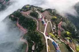 广元苍溪县漫山遍野桃花开满枝头图片