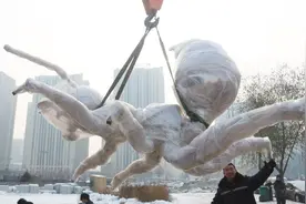 丧尸病毒真的存在！蚂蚁感染后变活丧尸，这种真菌会入侵人类吗？视频封面