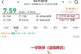 天“雷”！亏损646亿的天安财险：明天系背后还有多少故事？图片