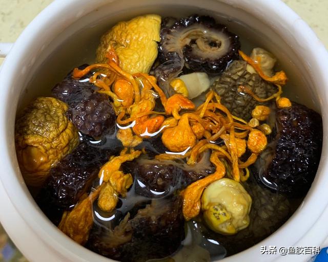 花胶竹笙煲白鸽的做法大全 竹笙炖花胶功效
