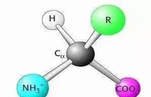 《宇宙的秘密全部揭开（二十四）分子生物学》