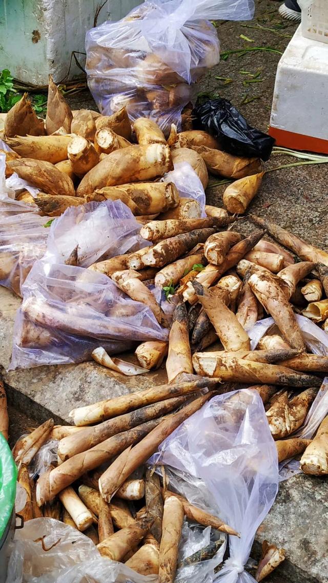 春笋满山谷,宜兴农家乐怎么样吃春笋吗?