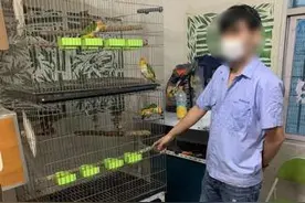 严查！龙华破获一宗危害野生动物案件，查获疑似国家二级保护动物10只图片