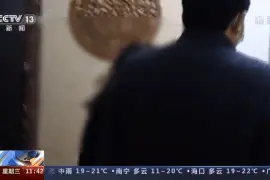 28年前南医大女生被杀案细节首次披露！凶手自白：“我知道后果”图片