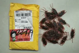 杭州男子打开老婆的快递，当场懵了，谁干的？图片