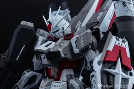 混搭佳作 ZGMF-X56S  炮装型脉冲高达图片