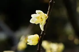 此文，写给逐渐老去的70后图片