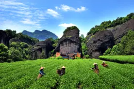 南平| 带你领略——武夷山醉美漫游古道寻觅之旅~好了图片