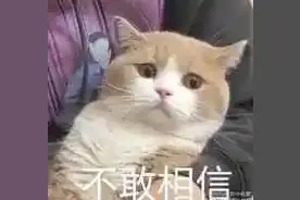 19岁女孩车祸去世获赔90万，父母竟然为了这笔钱对簿公堂！图片