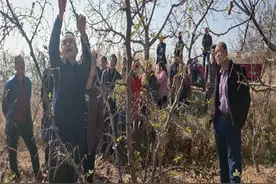 从光合作用原理谈果树修剪图片