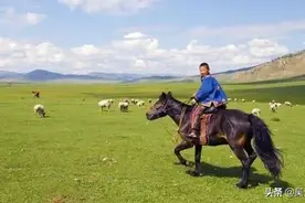 日本职场-坐在我旁边的蒙古大叔真的想回归中国吗图片