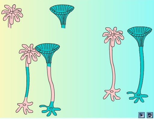 高中生物学习经验分享