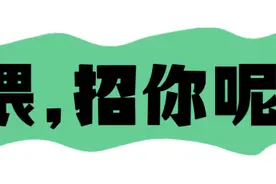 在厦国企招聘, 3月工资发放，看这里图片