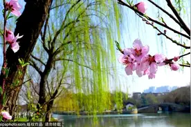 藏不住了！北京这些地方即将美出天际，你居然不知道？图片