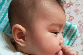 宝宝为什么见到什么啃什么呢？你阻止了吗图片