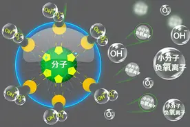 揭秘人类衰老原因图片