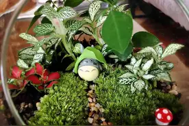 养花容易上瘾，还容易染上这些“坏习惯”，看看你中了几个图片