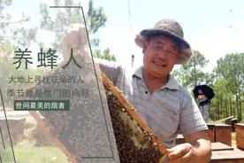大地花间，随遇而安，养蜂人——追花寻蜜，做世间最美的旅者图片