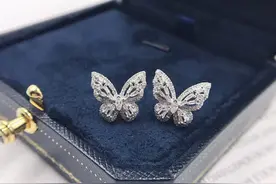 珠宝欣赏---蝴蝶钻石耳钉图片